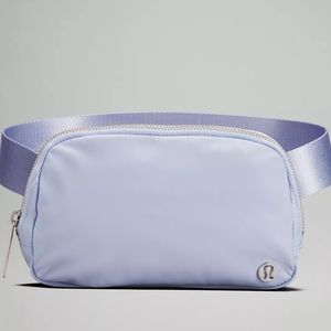 NWT Everywhere Belt Bag